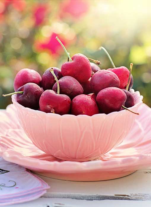 Dwarf Bing cherry trees