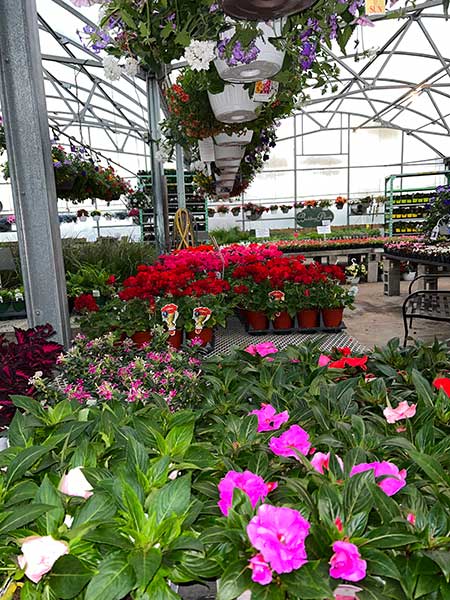 Country Bumpkin garden Center - May 2022