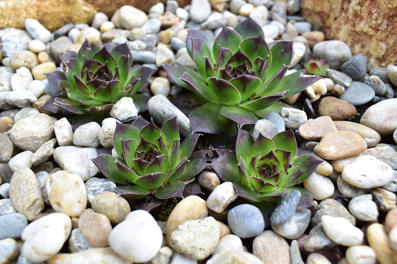 landscape gravel near me