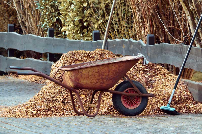 How to mulch your yard