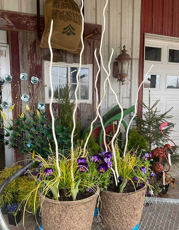 planted seasonal container - planted seasonal pots