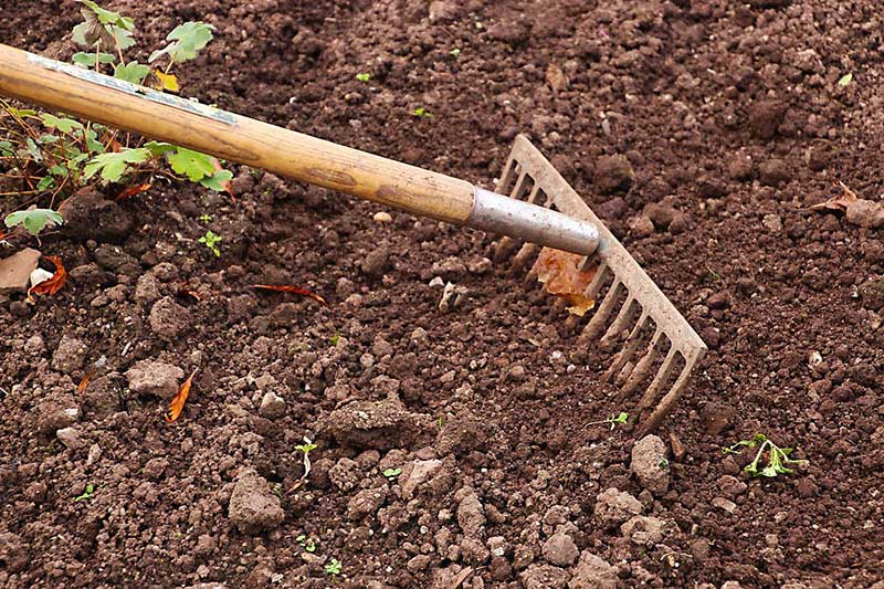 Understanding garden soil