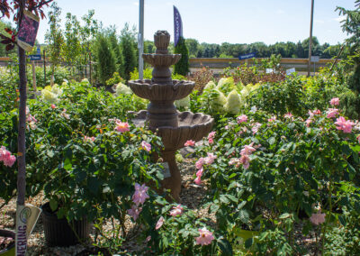 Country Bumpkin Garden Nursery - garden fountains for sale