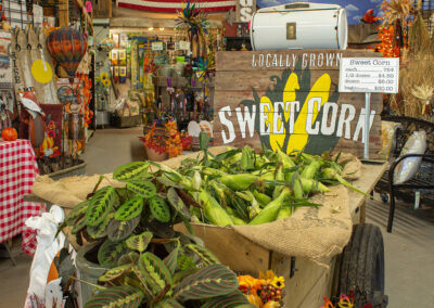 Country Bumpkin Garden Center - Sweet corn for sale.