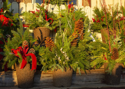 Christmas containers and Christmas trees at the Country Bumpkin, Mundelein, IL