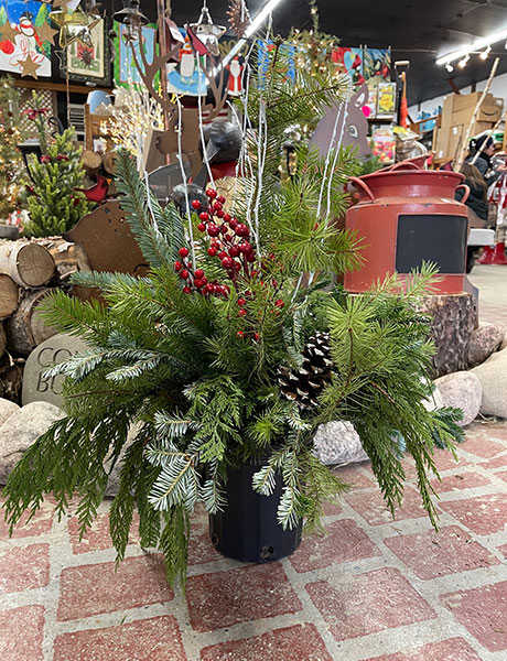 Creating Seasonal Containers - Country Bumpkin Plant Nursery