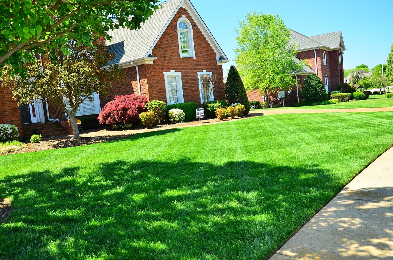 Turfgrass for Lake County, Illinois