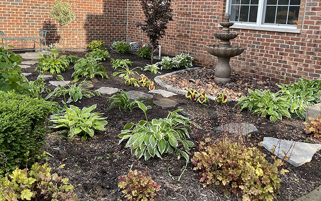Water feature landscaping - Country Bumpkin Nursery