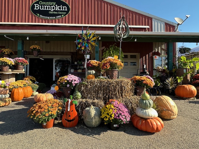 Country Bumpkin Garden Center - store gallery