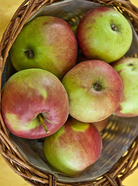 Jonathan apple trees for sale at The Country Bumpkin Garden Nursery.