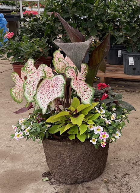 Country Bumpkin Spring Planter