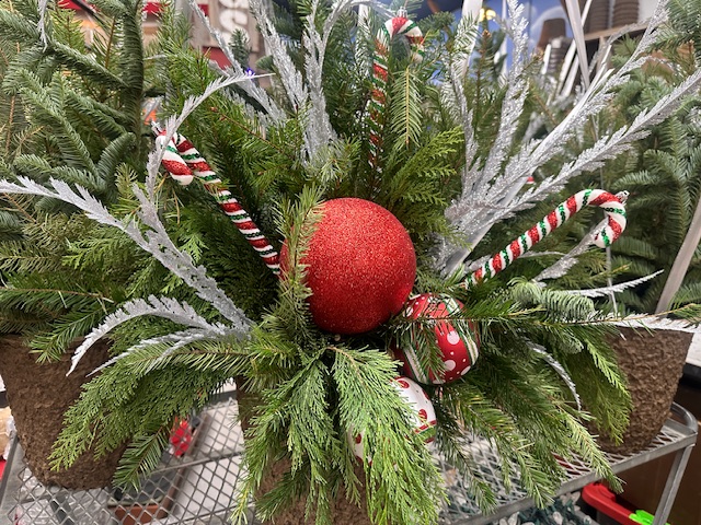 Custom Christmas Planter