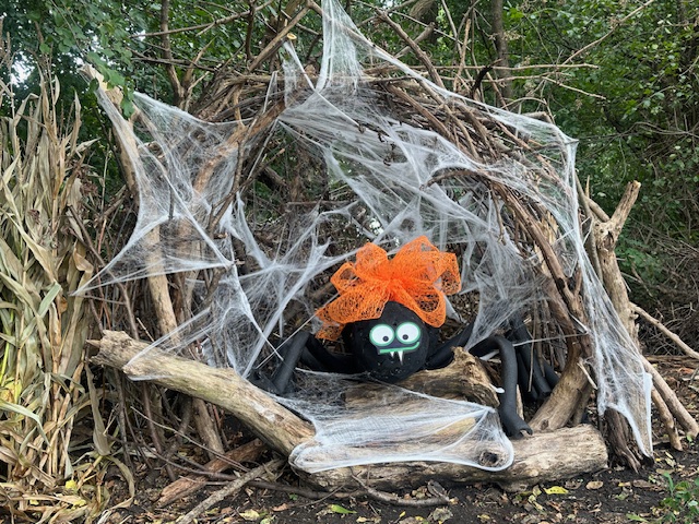 Spider in web - Country Bumpkin Pumpkin Fest - Pumpkin Forest