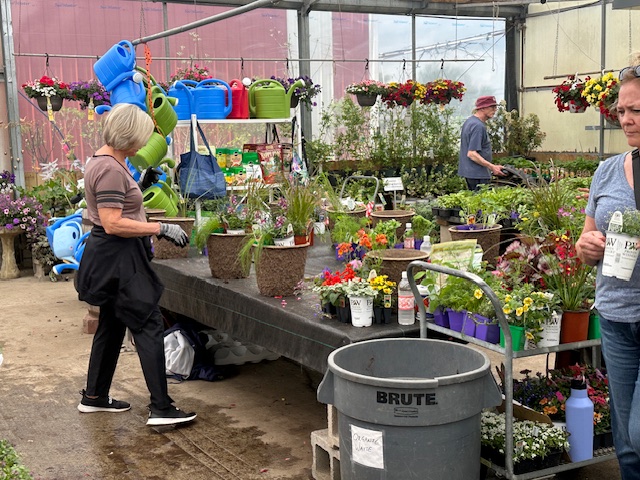 spring planter workshop