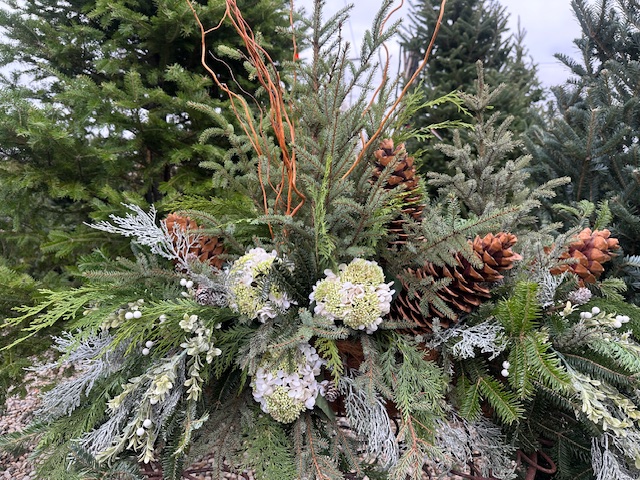 Custom Christmas planter