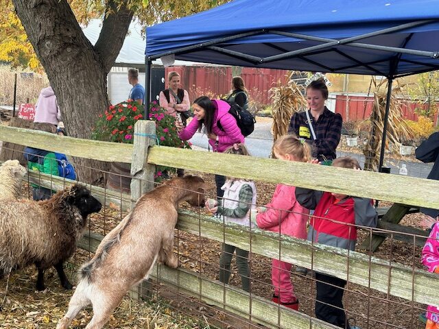 Country Bumpkin Pumpkin Fest petting zoo