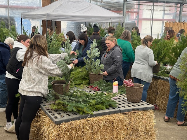 Christmas Planter Workshop attendees