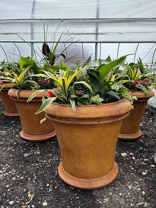 Country Bumpkin Spring Planter
